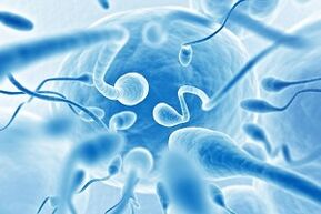 Sperm in the discharge of men when aroused