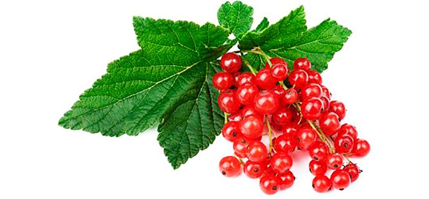 Red currant to increase potency