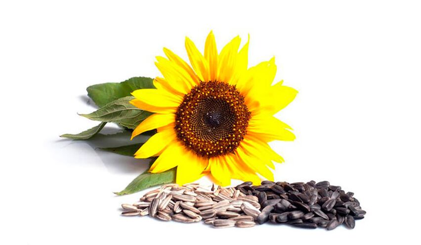 Sunflower seeds to increase potency