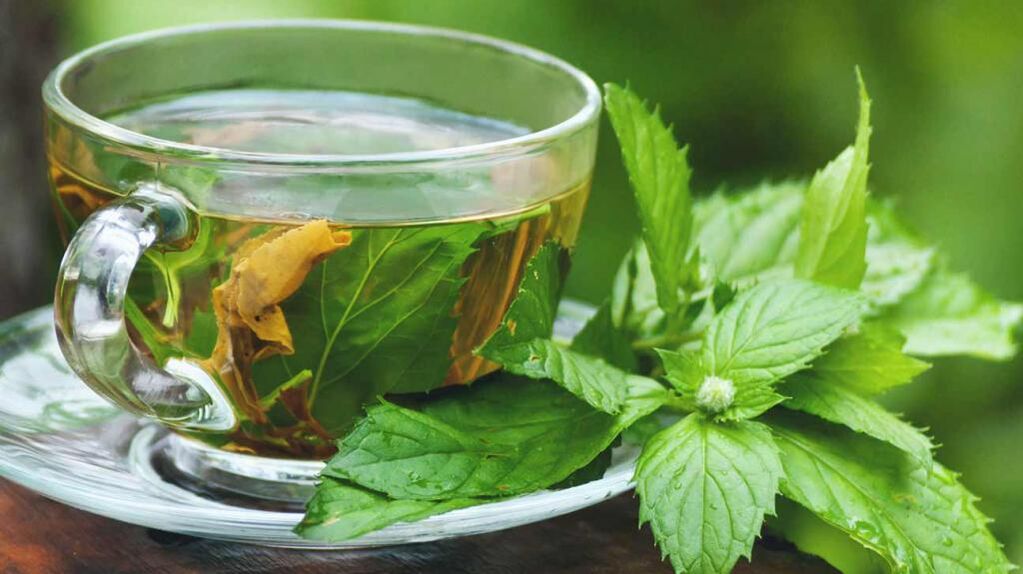 Nettle decoction to increase potency